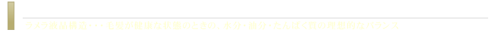 毛髪改善プログラムトリートメント